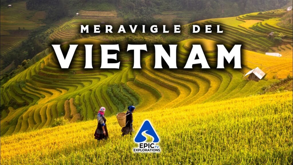 Viaggio Vietnam attrazioni imperdibili esperienze autentiche cucina tradizionale, Vietnam: un viaggio sensoriale tra risaie smeraldine e antiche tradizioni