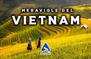 Vietnam: un viaggio sensoriale tra risaie smeraldine e antiche tradizioni