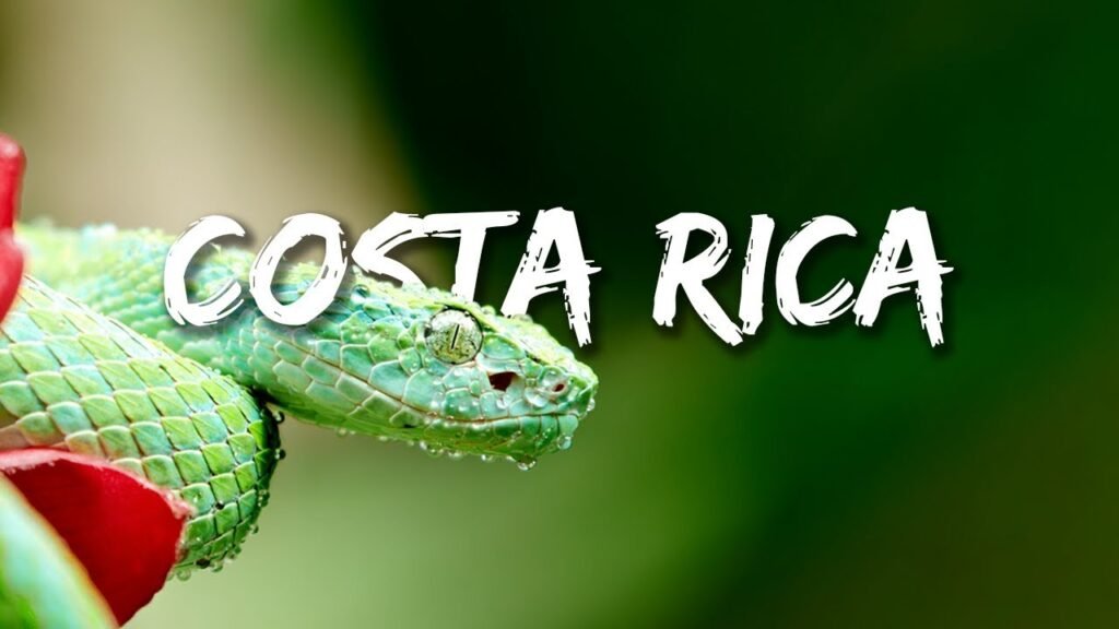 Viaggio sostenibile Costa Rica attrazioni naturalistiche, Costa Rica: paradiso di biodiversità tra due oceani