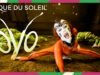 Cirque du Soleil: torna in Italia nel 2026 con “Ovo” No#News la rivista dell'ozio e della serendipità, Periodico dell’ozio e della serendipità