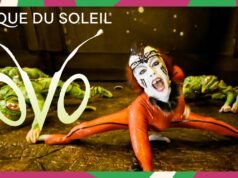 Cirque du Soleil: torna in Italia nel 2026 con “Ovo”