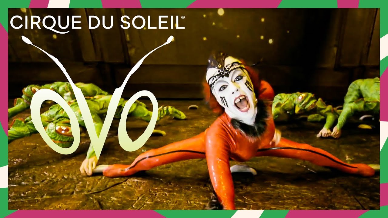 cirque du soleil torna in italia nel 2026 con ovo