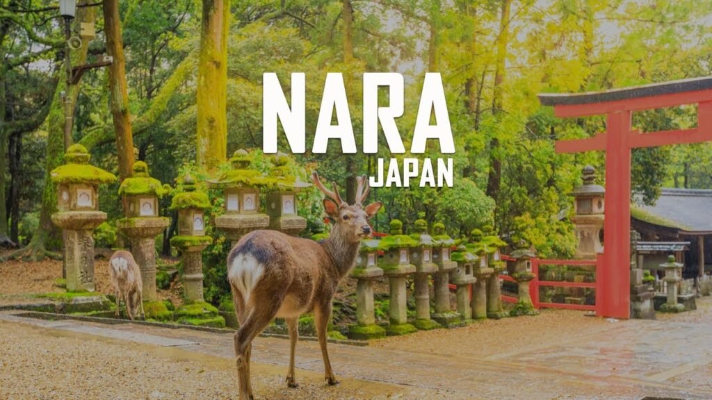 guida viaggio Nara Giappone templi, Nara: viaggio nell’antica capitale del Giappone