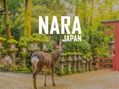 Nara: viaggio nell’antica capitale del Giappone