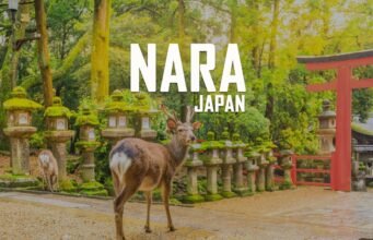 Nara: viaggio nell’antica capitale del Giappone No#News la rivista dell'ozio e della serendipità, Ozio e serendipità