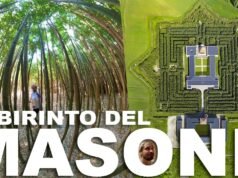 Tra bambù e memoria: dove un editore ha mantenuto una promessa ad uno scrittore cieco