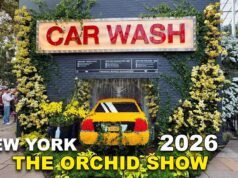 Orchidee contro il cemento: la mostra florale che trasforma il Bronx in un sogno tropicale