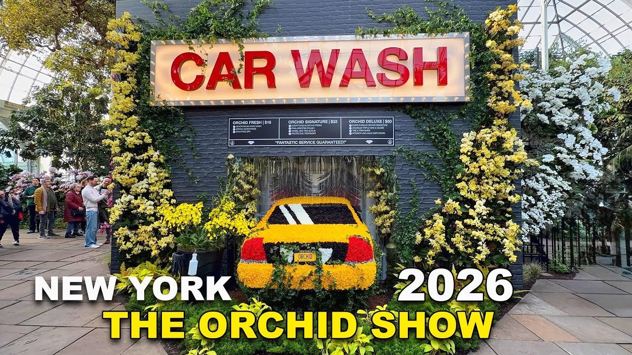 Orchidee contro il cemento: la mostra florale che trasforma il Bronx in un sogno tropicale