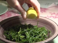 Gli agretti: la verdura di primavera che dura solo due mesi e conquista la tavola italiana