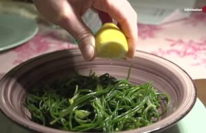 Gli agretti: la verdura di primavera che dura solo due mesi e conquista la tavola italiana