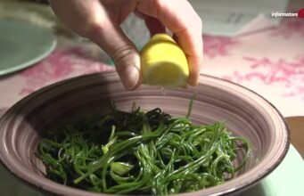 Gli agretti: la verdura di primavera che dura solo due mesi e conquista la tavola italiana No#News la rivista dell'ozio e della serendipità, Ozio e serendipità