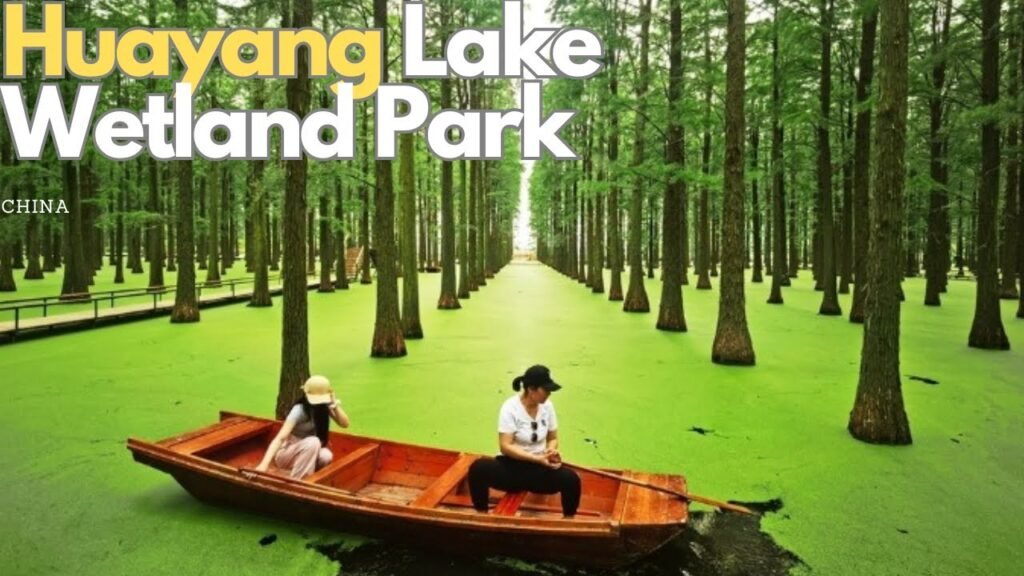 Huayang Lake Wetland Park Dongguan Cina natura e cultura Lingnan, Huayang Lake Wetland Park: dove il silenzio dell’acqua racconta la rinascita di una città industriale