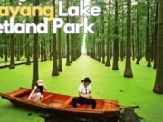 Huayang Lake Wetland Park: dove il silenzio dell’acqua racconta la rinascita di una città industriale
