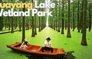 Huayang Lake Wetland Park: dove il silenzio dell’acqua racconta la rinascita di una città industriale