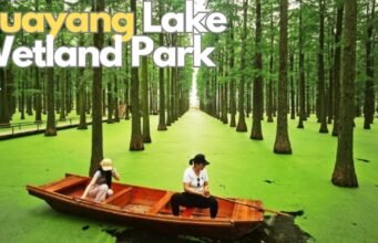 Huayang Lake Wetland Park: dove il silenzio dell’acqua racconta la rinascita di una città industriale No News la rivista dell'ozio e della serendipità, Ozio e serendipità