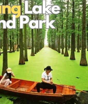 Huayang Lake Wetland Park: dove il silenzio dell’acqua racconta la rinascita di una città industriale