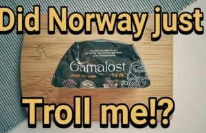 Gamalost: il formaggio dei vichinghi che sfida il tempo tra i fiordi norvegesi