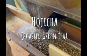 Un aroma che nasce dal fuoco: il fascino dell’hojicha, il tè tostato di Kyoto