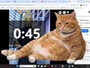 Un gatto arancione blocca il tuo feed: Cat Gatekeeper l’estensione anti-doomscrolling