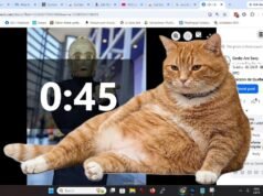 Un gatto arancione blocca il tuo feed: Cat Gatekeeper l’estensione anti-doomscrolling No News la rivista dell'ozio e della serendipità, Ozio e serendipità