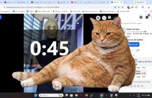 Un gatto arancione blocca il tuo feed: Cat Gatekeeper l’estensione anti-doomscrolling