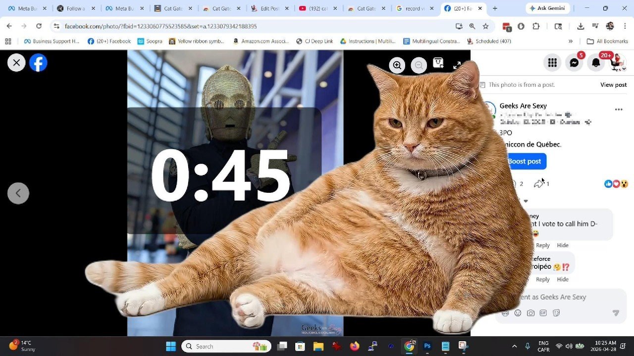 un gatto arancione blocca il tuo feed cat gatekeeper l8217estensione anti doomscrolling da Nonewsmagazine.com un gatto arancione blocca il tuo feed cat gatekeeper l8217estensione anti doomscrolling