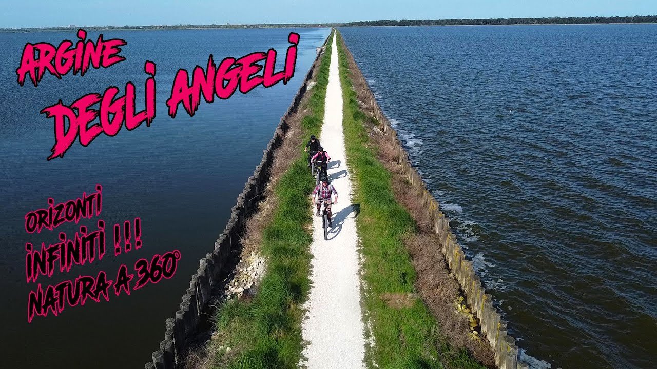 in bici sull8217argine degli angeli il suggestivo percorso ciclabile nelle valli di comacchio da Nonewsmagazine.com in bici sull8217argine degli angeli il suggestivo percorso ciclabile nelle valli di comacchio