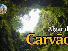 All’interno di un vulcano: l’ecosistema impossibile dell’Algar do Carvão alle Azzorre