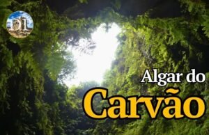 All’interno di un vulcano: l’ecosistema impossibile dell’Algar do Carvão alle Azzorre