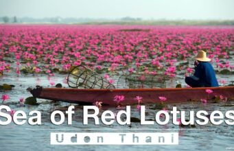 Il lago che fiorisce una volta l’anno: il segreto del Talay Bua Daeng in Thailandia No News la rivista dell'ozio e della serendipità, Ozio e serendipità
