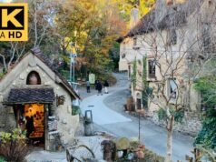 Nukumori no Mori: il villaggio che sembra uscito da un film di Studio Ghibli esiste davvero in Giappone
