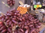 L’oro rosso di Calabria: viaggio nel mondo della cipolla di Tropea