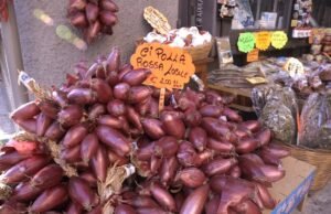 L’oro rosso di Calabria: viaggio nel mondo della cipolla di Tropea