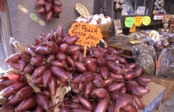L’oro rosso di Calabria: viaggio nel mondo della cipolla di Tropea No News la rivista dell'ozio e della serendipità, Ozio e serendipità