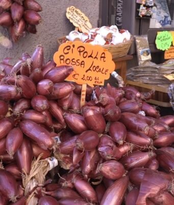 L’oro rosso di Calabria: viaggio nel mondo della cipolla di Tropea