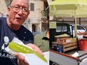 Cucuzza agghiacciata: la zucchina ghiacciata che a Palermo era il gelato dei poveri