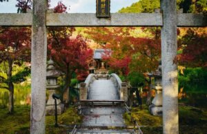 Il sacro rito del momijigari in Giappone