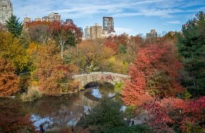 Viaggio tra i colori d’autunno: i treni panoramici per ammirare il foliage