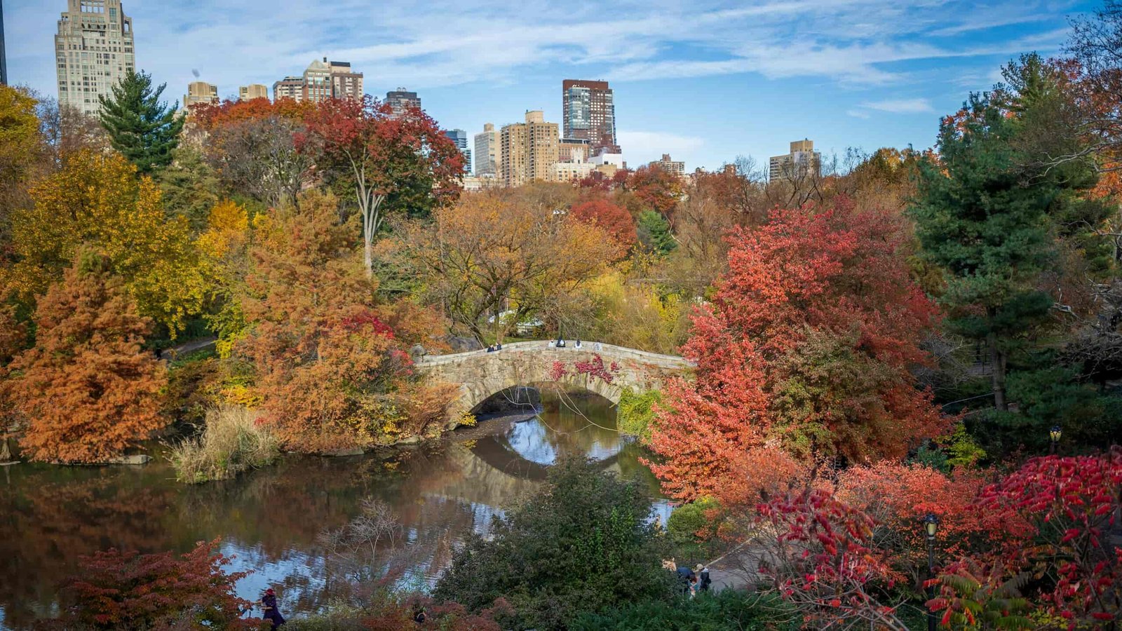 Viaggio tra i colori d’autunno: i treni panoramici per ammirare il foliage