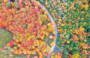 Viaggi on the road: le strade panoramiche più belle d’Europa