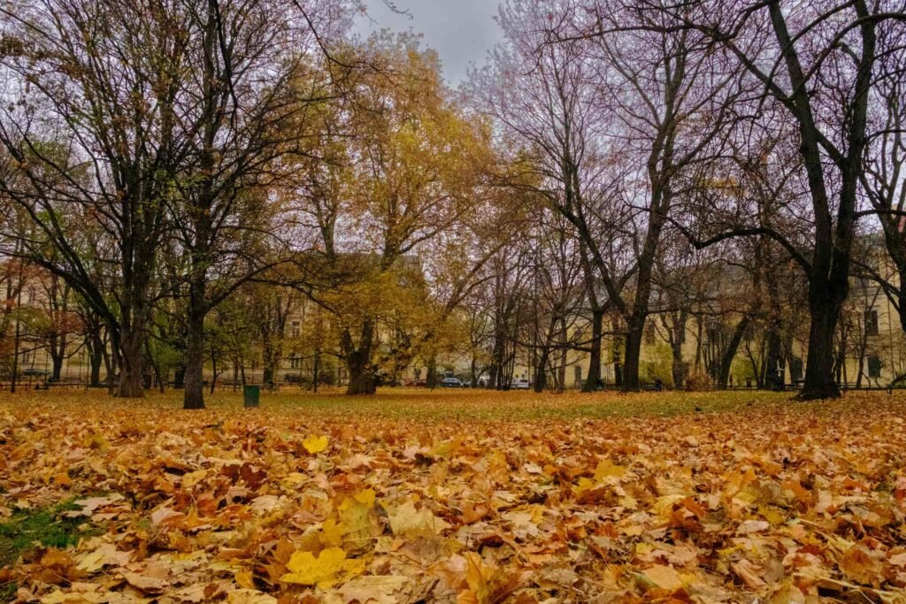 cascate Italia autunno foliage, L’autunno trasforma le cascate italiane in monumenti viventi