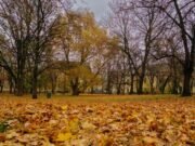 L’autunno trasforma le cascate italiane in monumenti viventi