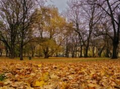 L’autunno trasforma le cascate italiane in monumenti viventi