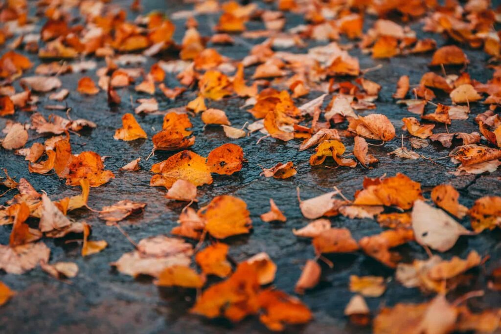 funivie panoramiche Italia autunno, Viaggio tra le funivie d&#8217;Italia: prospettive inedite sul territorio