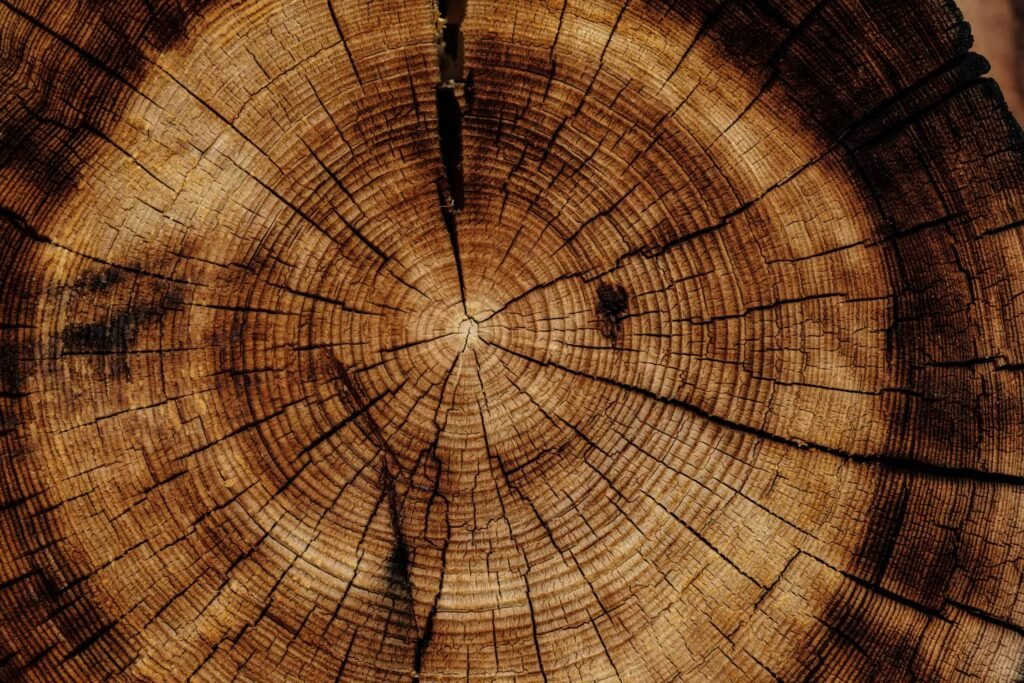 materiale legno più resistente acciaio edilizia sostenibile, Superwood: il Legno che supera l&#8217;acciaio