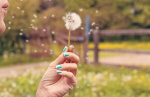 Respiro di libertà: come il vaccino anti-pollini sta trasformando la primavera per milioni di persone