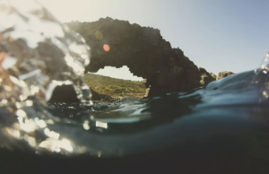 Sicilia Occidentale terra di creatività, il Distretto Turistico alla Bit di Milano https://www.westofsicily.com/it