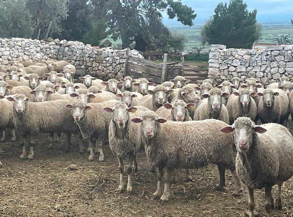 , La Puglia ha sette nuovi Presìdi Slow Food