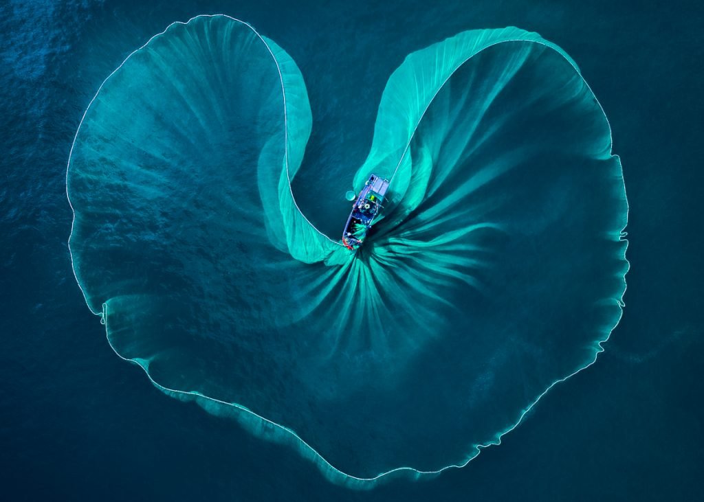 ©PHUOC HOAI NGUYEN