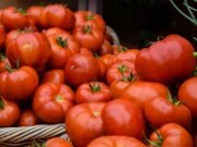 Pomodori antichi d’Italia: le varietà dimenticate da riscoprire in tavola